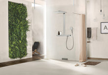 Load image into Gallery viewer, HANSGROHE Rainmaker Select 460 3jet EcoSmart
