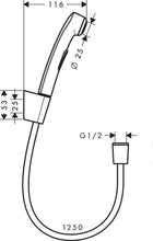 Load image into Gallery viewer, HANSGROHE Bidet Hand spray with Holder and Hose 1.25m 
